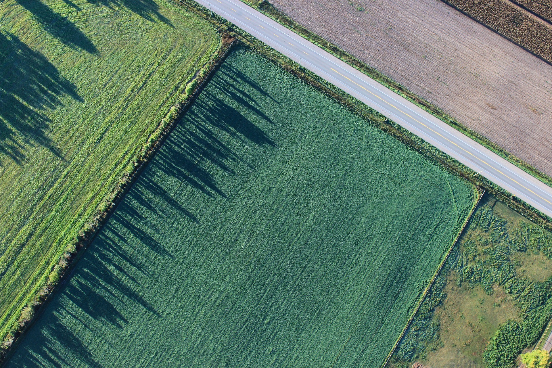 Aerial view of agricultural land